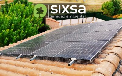 El impacto de las palomas en los paneles solares: Un problema que no puedes ignorar