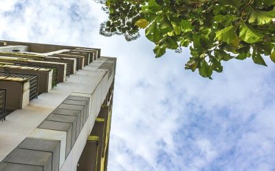 Ayuda al control integrado de plagas en tu ciudad