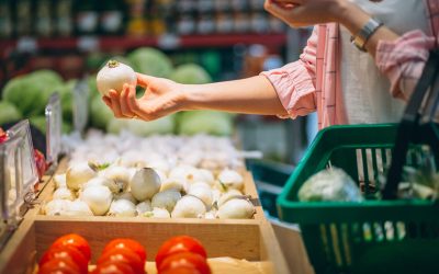 Control de Plagas en Pequeños Comercios y Supermercados